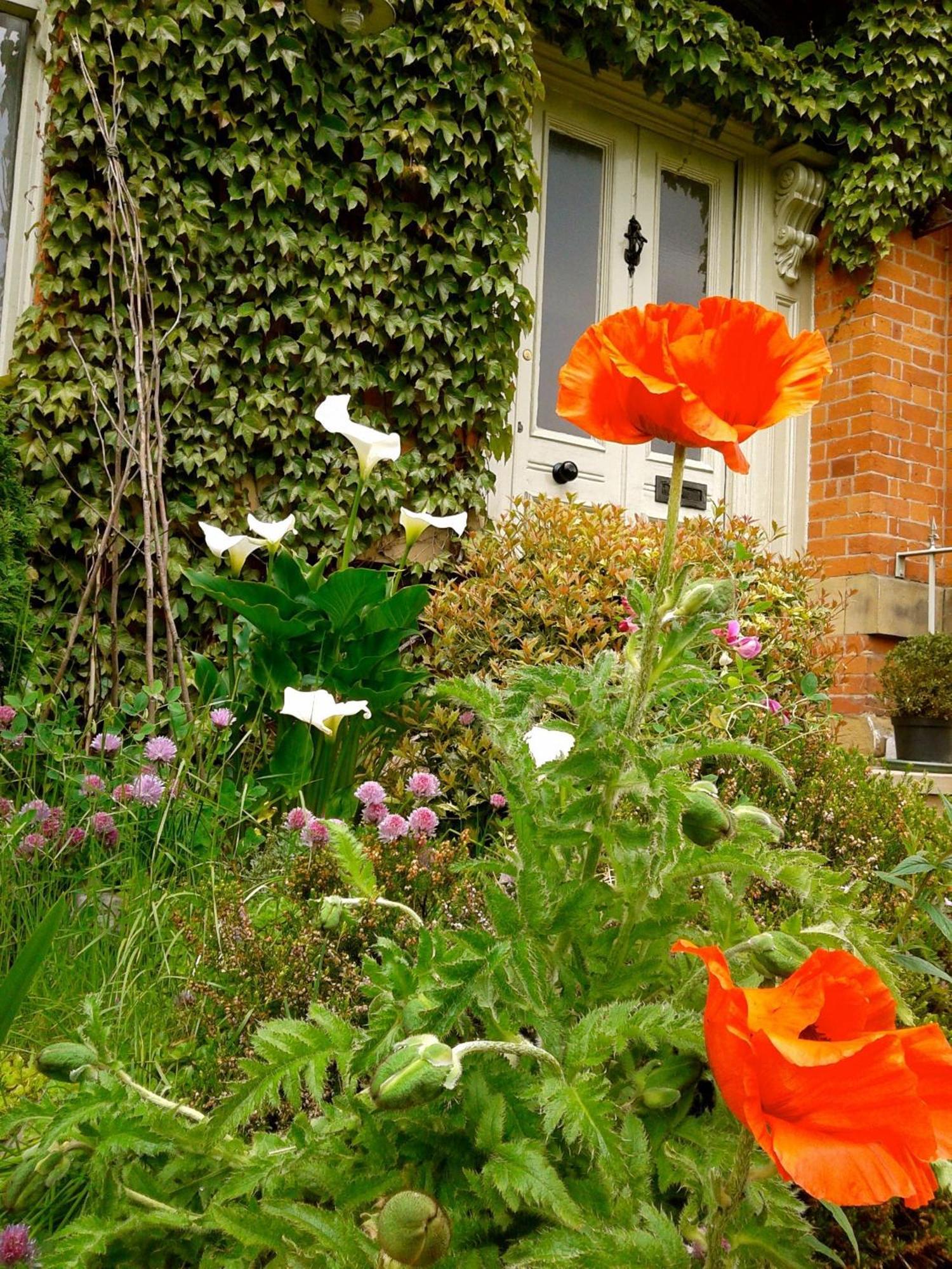 Cornerstones Guest House Sale Zewnętrze zdjęcie
